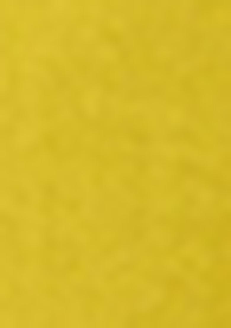 Lime Green Embroidered Cotton Blend Kurta Set With Dupatta