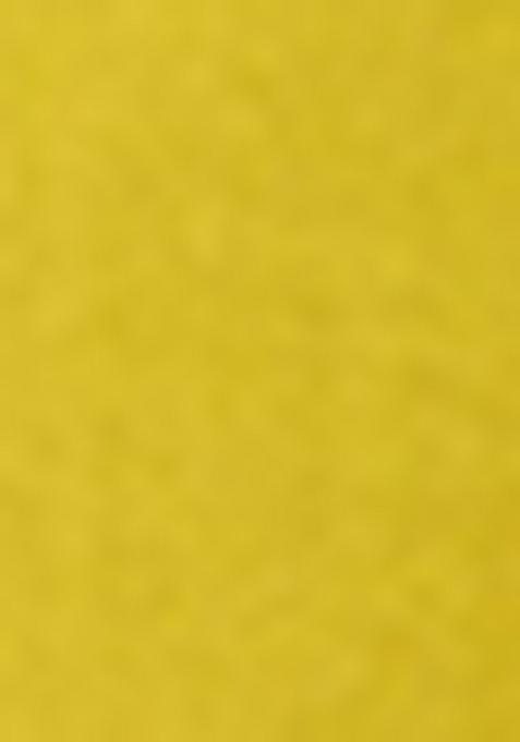 Lime Green Embroidered Cotton Blend Kurta Set With Dupatta