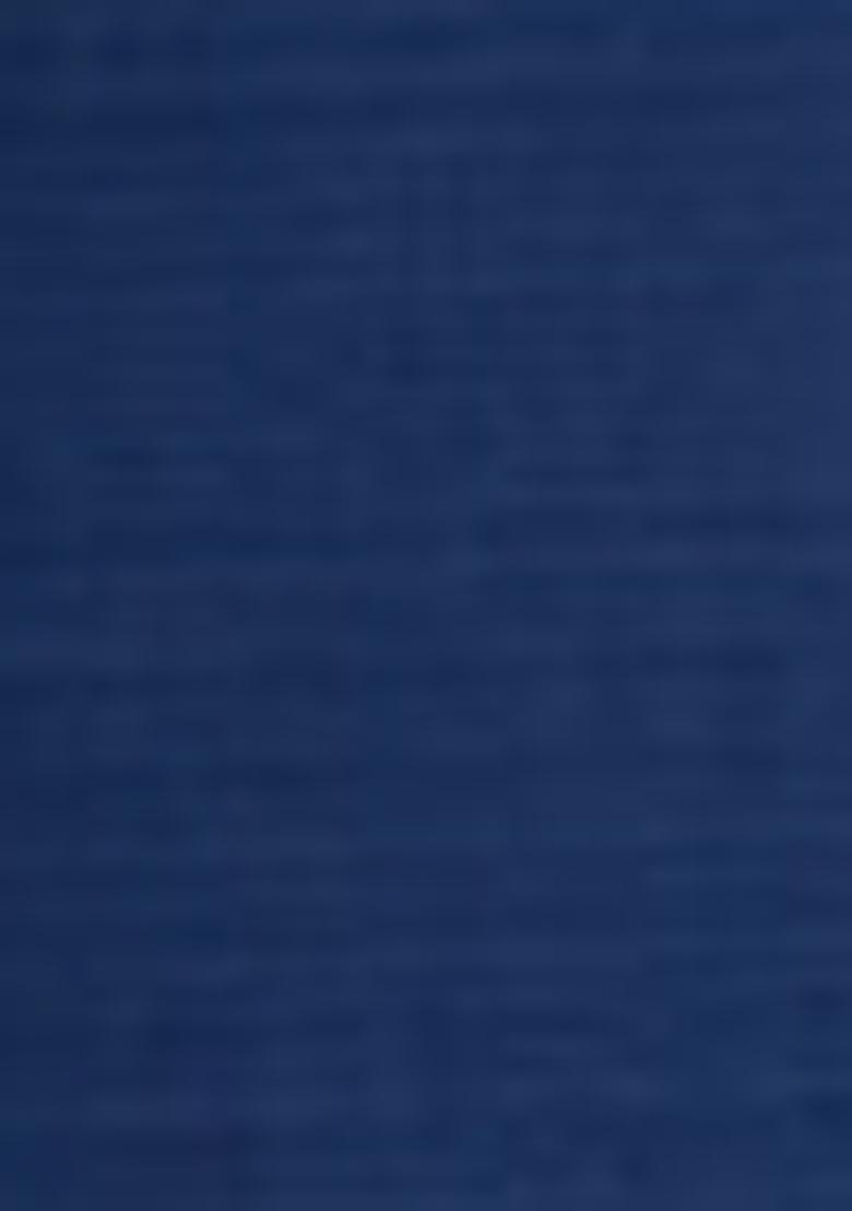 Blue Embroidered Silk Salwar Kameez With Dupatta - Indya