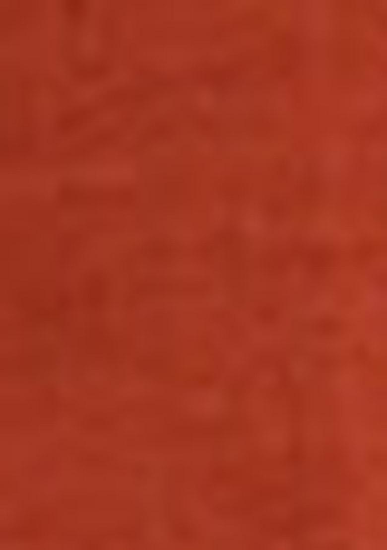 Brown Embroidered Silk Blend Salwar Kameez With Dupatta