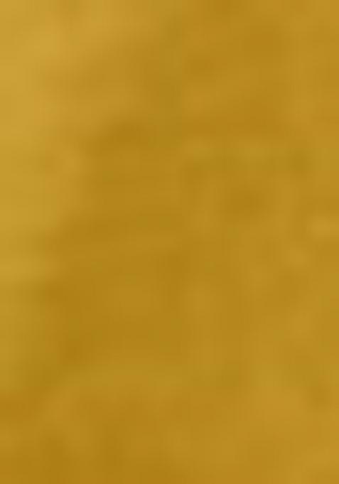 Yellow Embroidered Pure Shimmer Dhoti Suit Set