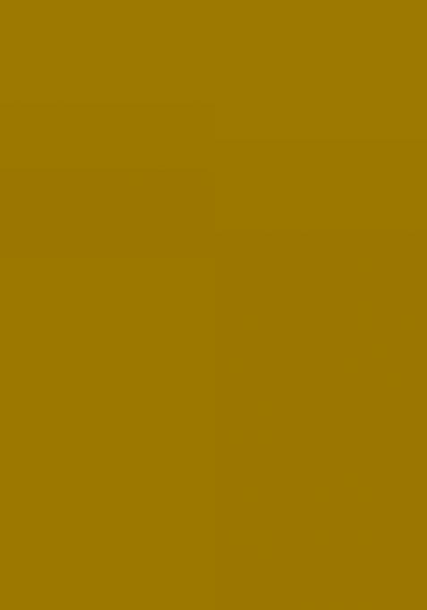 Yellow Printed Organza Gown With Dupatta