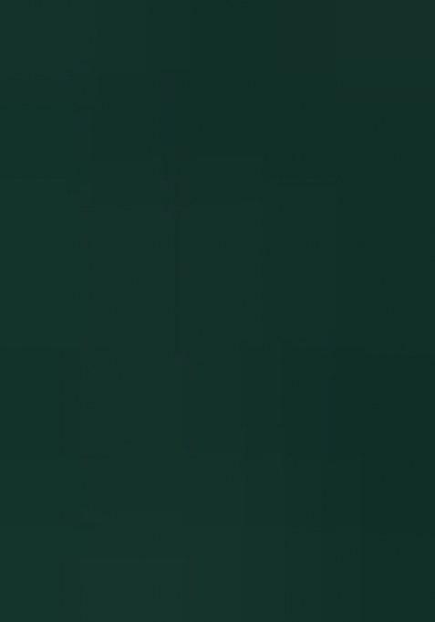 Green Embroidered Cotton Blend Kurta Set