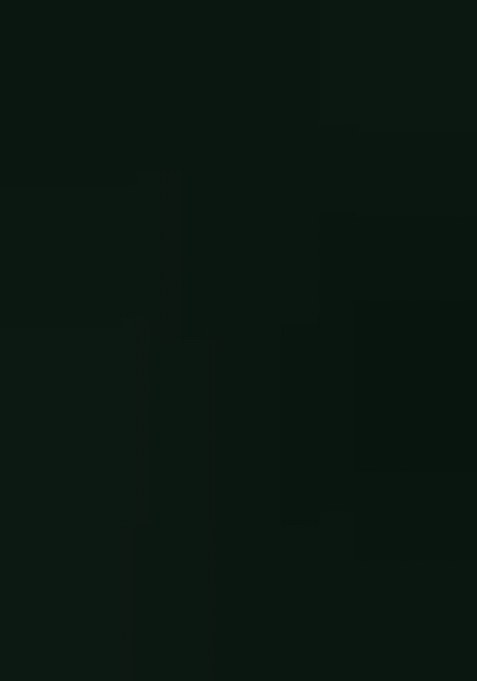 Green Embroidered Cotton Blend Kurta Set