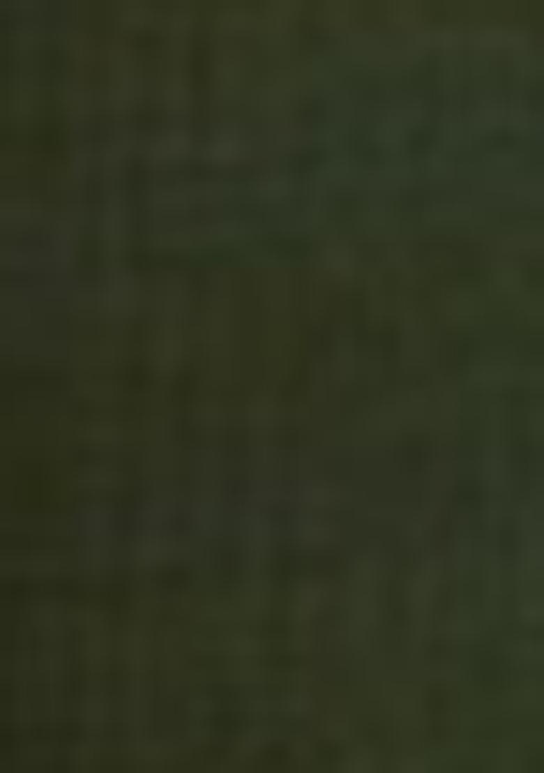 Green Embroidered Silk Kurta Set With Dupatta