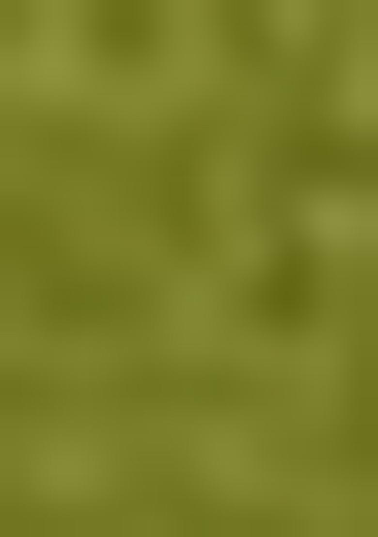 Green Embroidered Shimmer Kurta Set With Dupatta