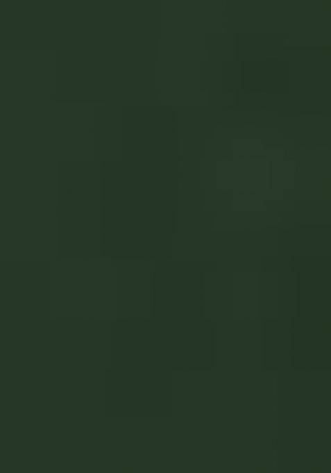 Dark Green Printed Faux Georgette Anarkali Kurta