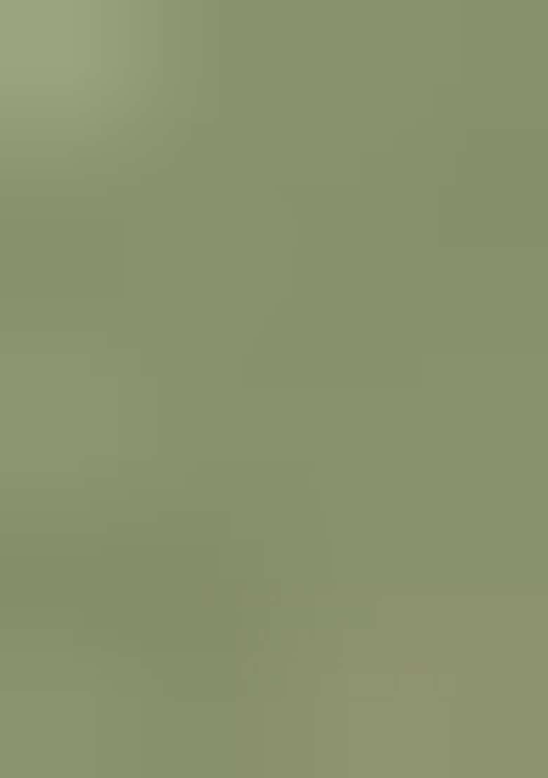 Pista Green Embroidery Work Georgette Salwar Kameez With Dupatta - Indya
