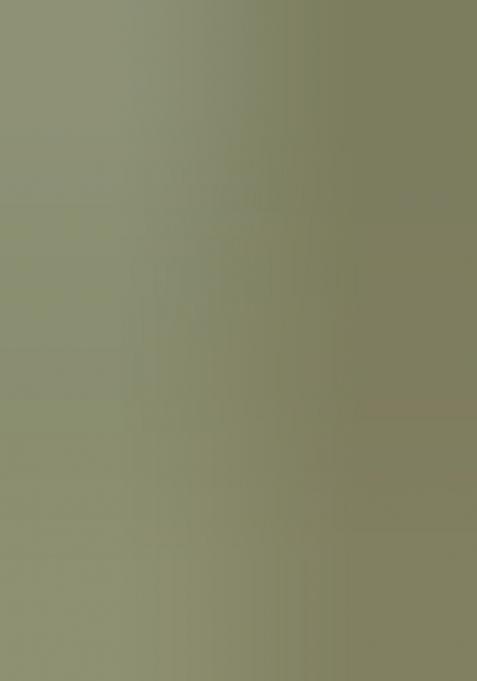 Pista Green Embroidered Chinon Salwar Suit