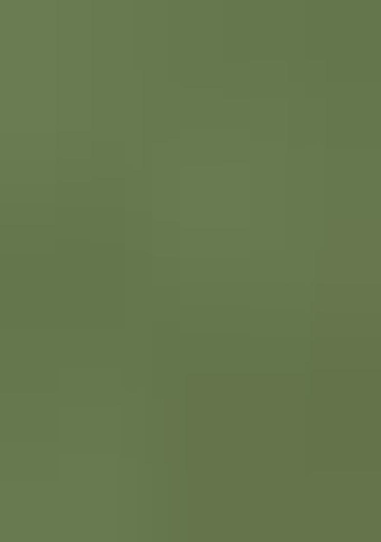 Green Embroidered Blended Kurta Set - Indya