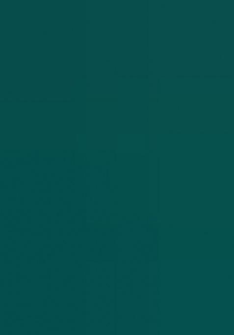 Green Digital Printed Silk Anarkali Dress With Dupatta