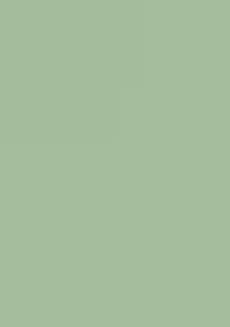 Green Chikankari Crepe Straight Kurta Set - Indya