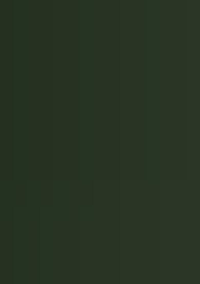 Green Embroidered Cotton Kurta Set - Indya