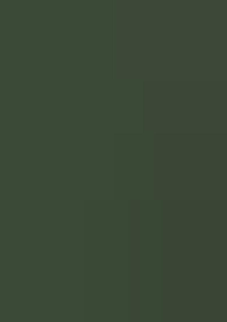 Green Embroidered Georgette Pakistani Salwaar Kameez - Indya