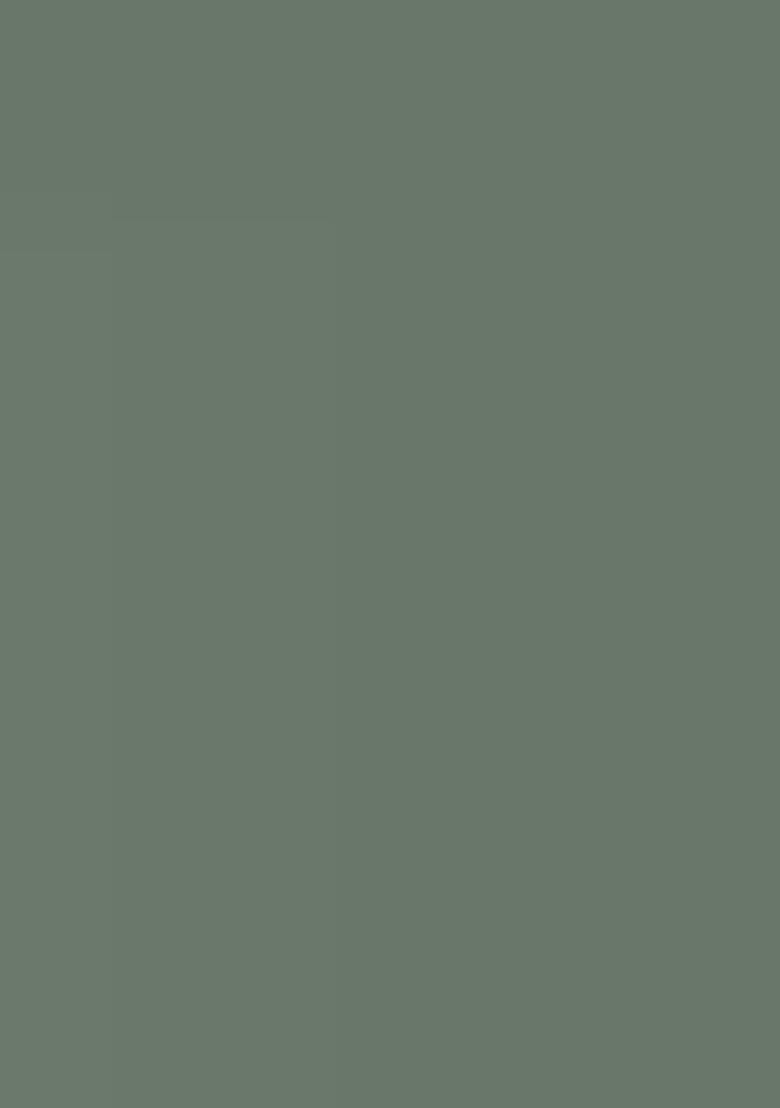 Green Embroidery Georgette Salwar Kameez - Indya