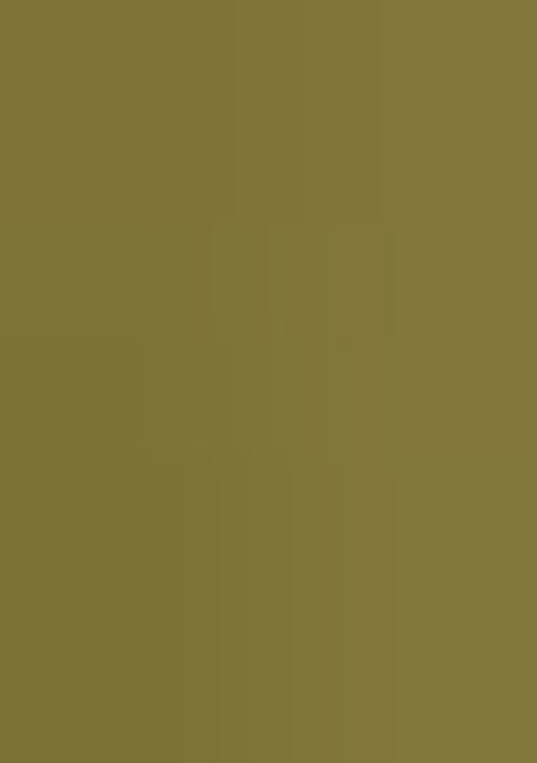 Green Embroidery Silk Kurti Set - Indya