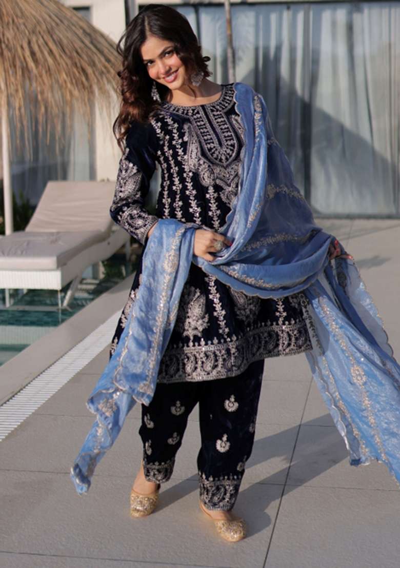 Blue Embroidered Velvet Punjabi Suit - Indya
