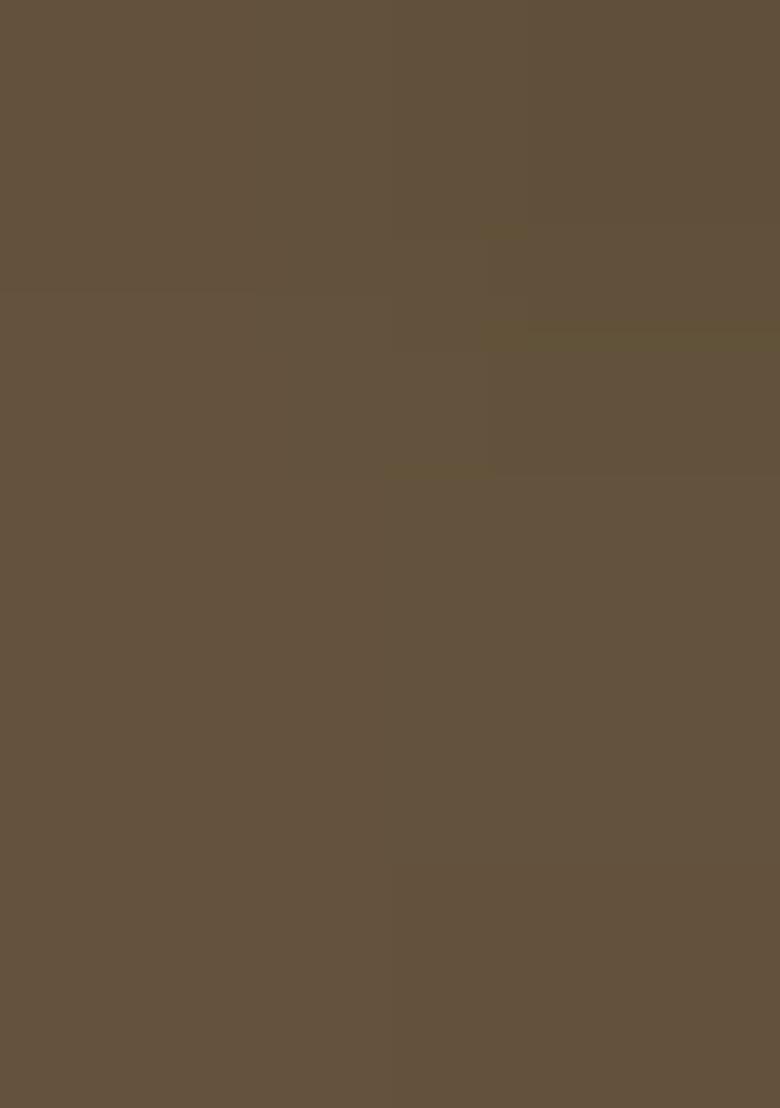 Green Motif Georgette Kurta Set - Indya