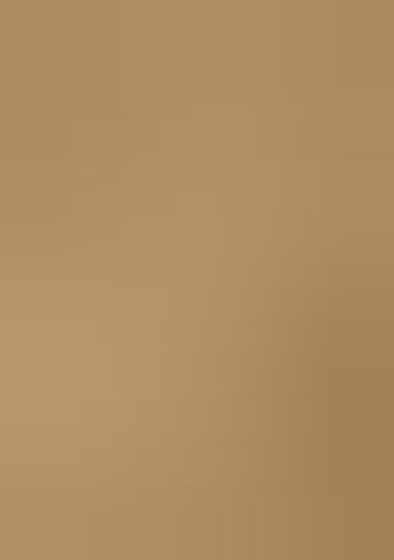 Light Brown Embroidery Silk Kurta Set - Indya