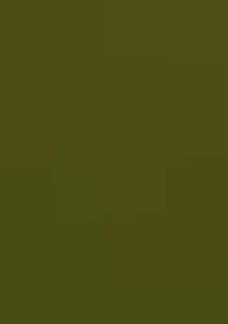 Mahendi Embroidery Georgette Kurta Set - Indya