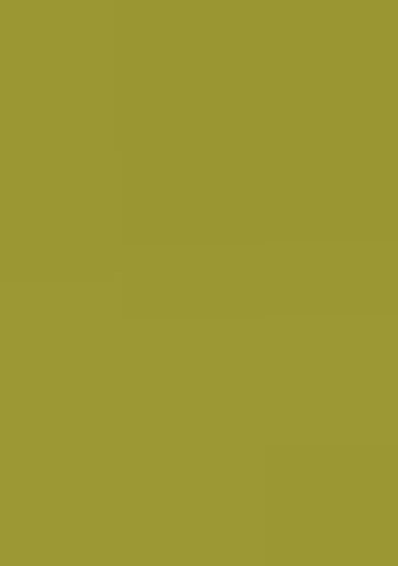 Green Printed Cotton Kurta Set - Indya