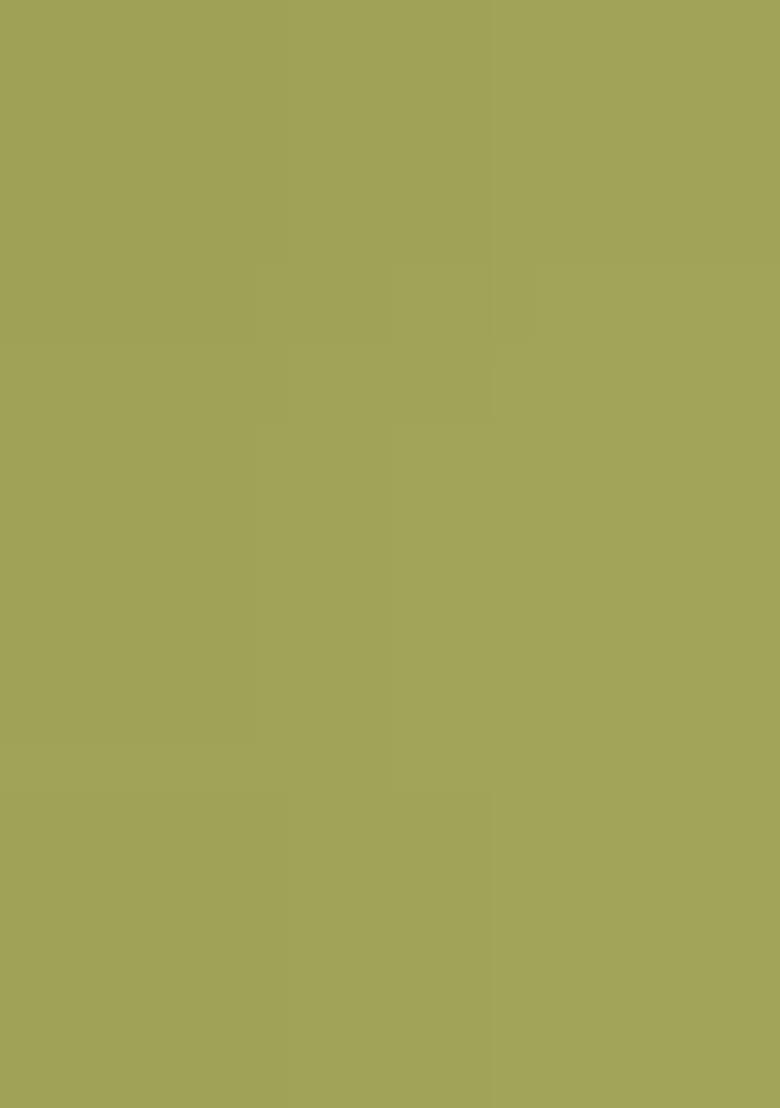 Green Printed Cotton Kurta Set - Indya