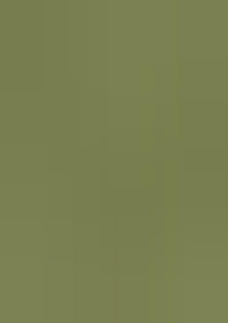 Green Embroidery Silk Straight Kurta Set - Indya