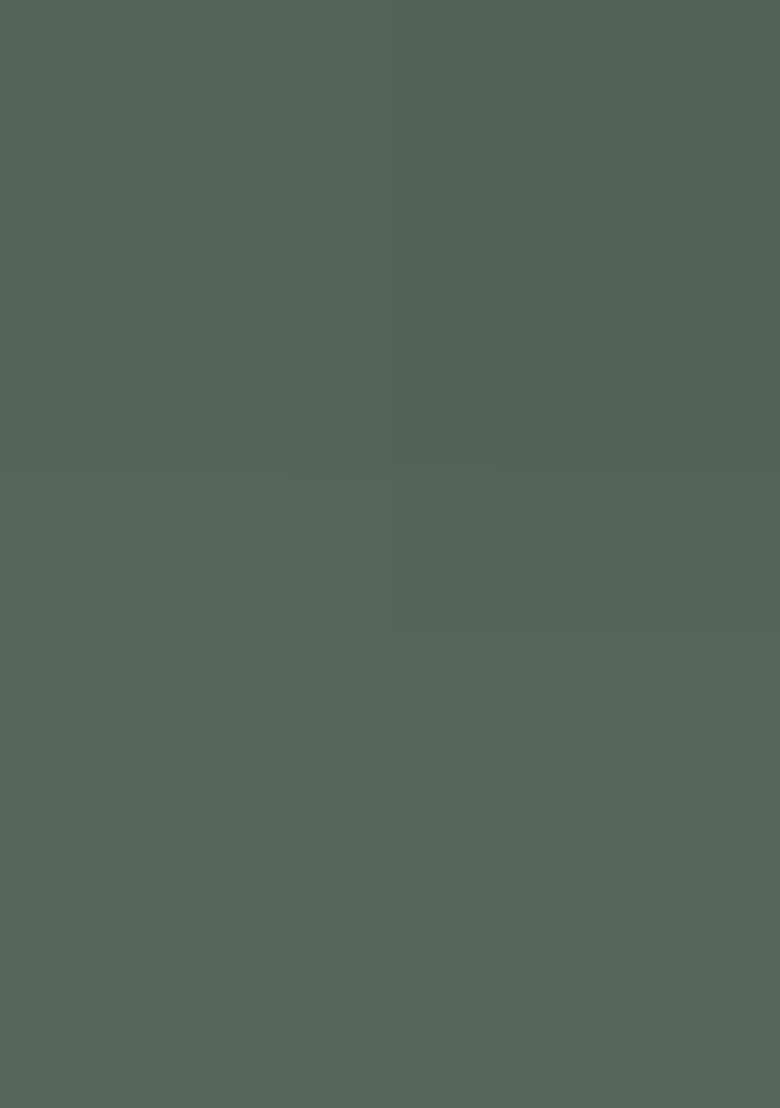 Olive Green Embroidered Silk Blend Pakistani Suit Set - Indya