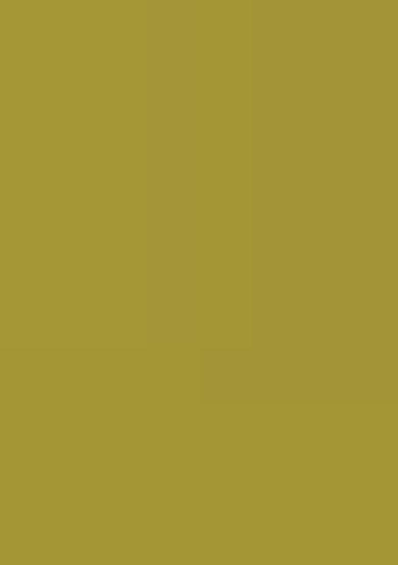 Green Embroidery Chinon Straight Kurta Set - Indya