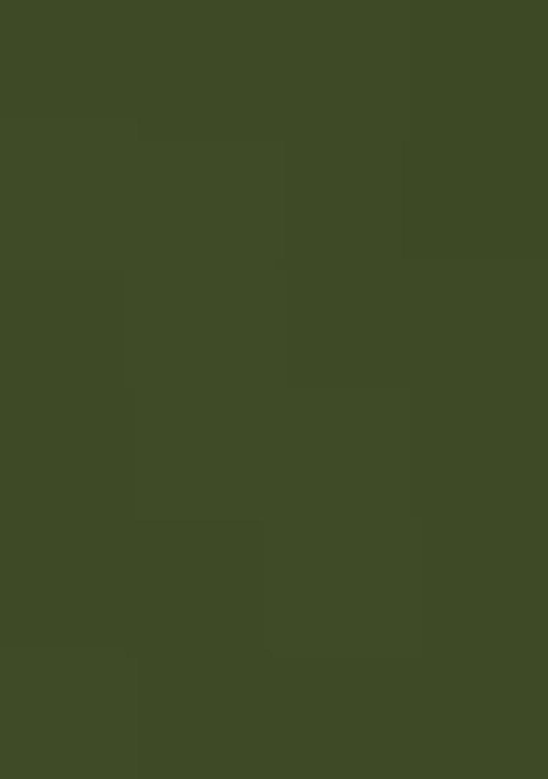 Green Embroidery Cotton Kurta Set - Indya