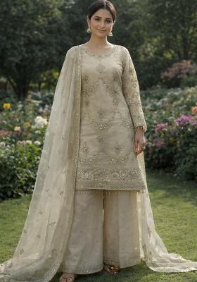 Beige Embroidery Organza Salwar Kameez