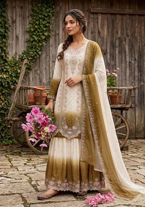 brown Zari Work georgette Salwar Kameez