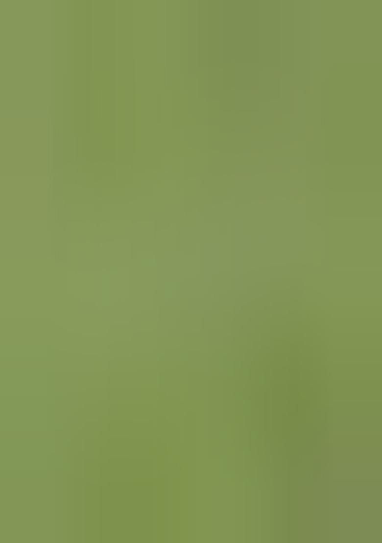 Light Green Bandhej Print Silk Palazzo Set