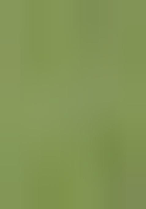 Light Green Bandhej Print Silk Palazzo Set