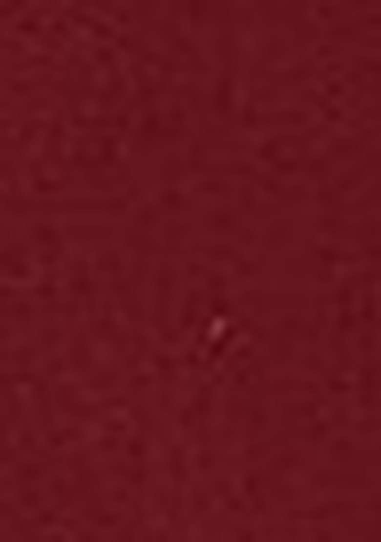 Maroon Embroidered Georgette Sharara Set - Indya
