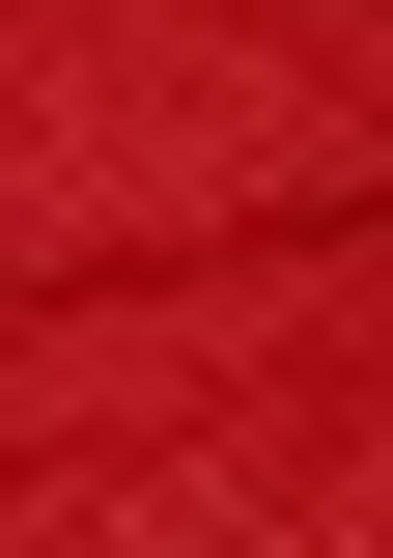 Red Sequin Embroidered Net Anarkali Set