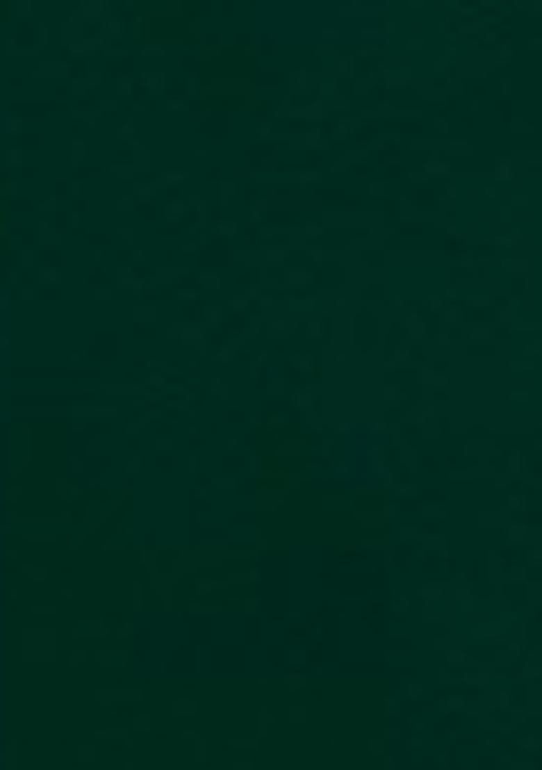 Green Sequin Embroidered Net Anarkali Set