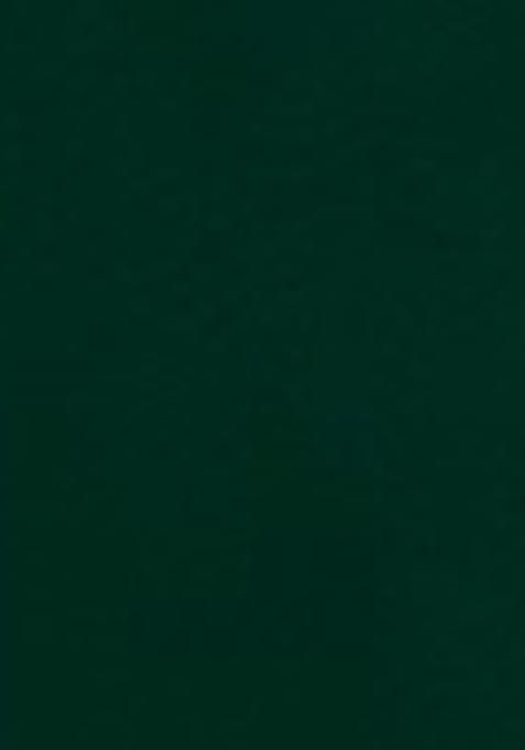 Green Sequin Embroidered Net Anarkali Set