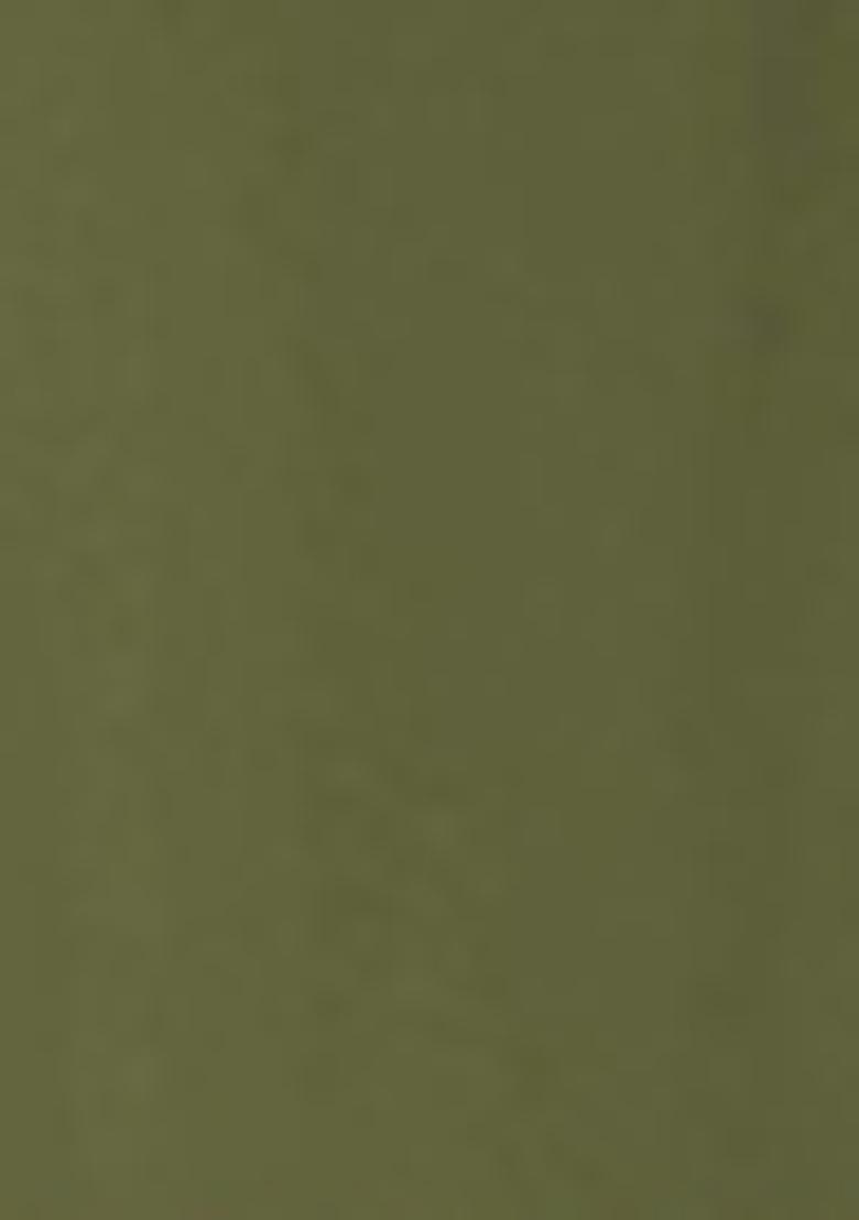 Green Embroidered Butterfly Net Kurta Set