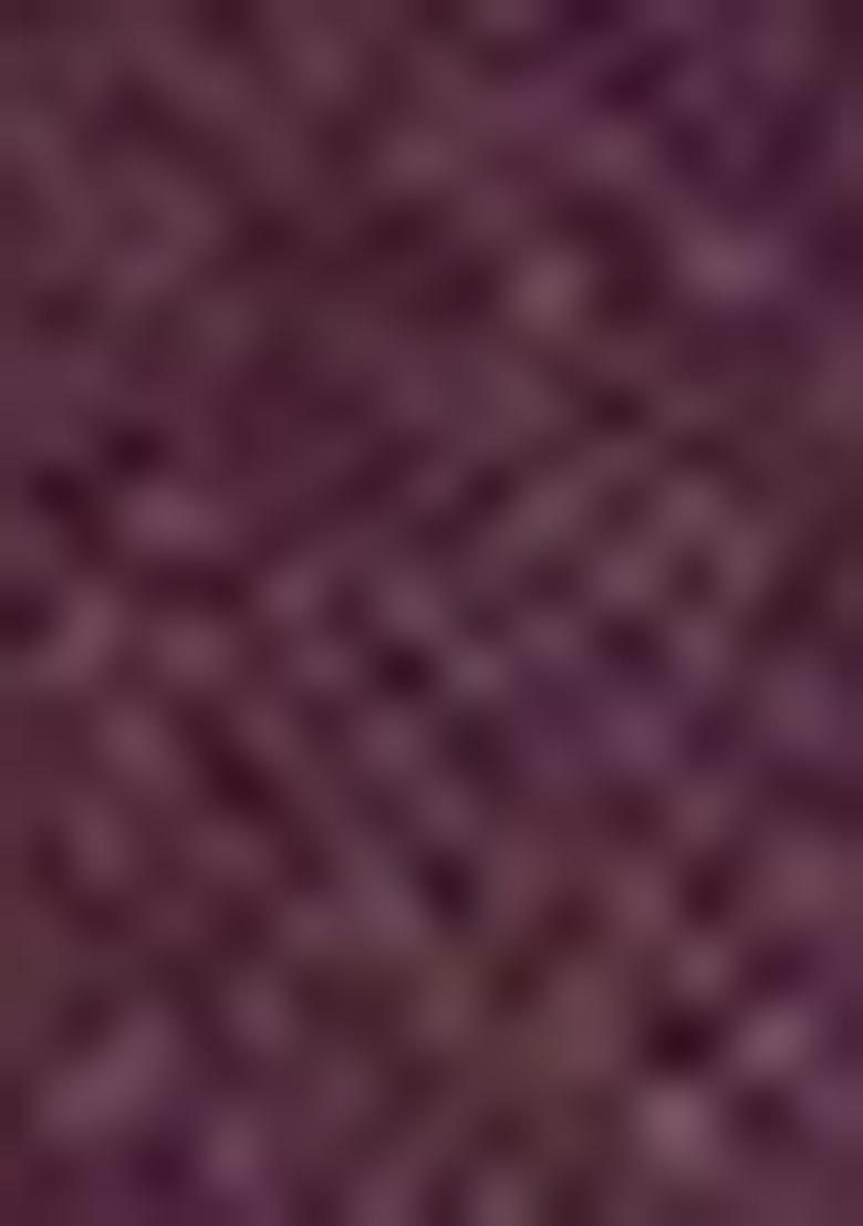 Wine Sequin Embroidered Georgette Gown Set