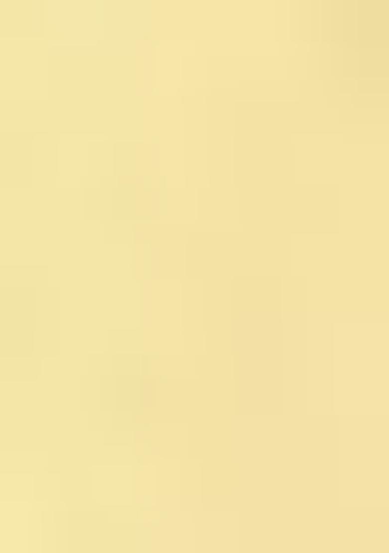 Yellow Sequin Embroidered Georgette Kurta Set