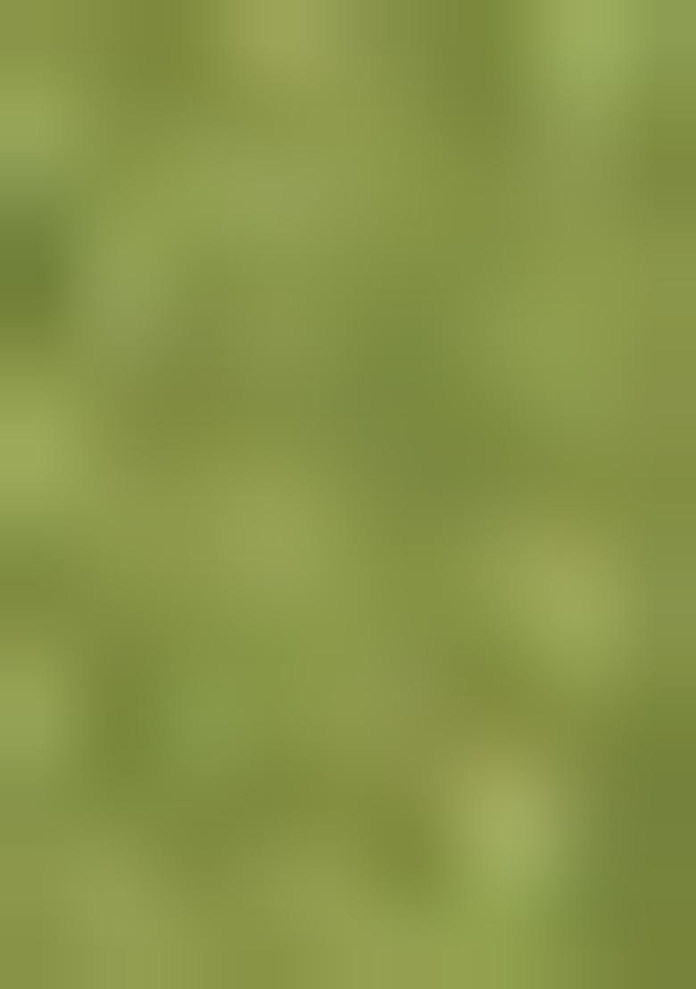 Green Zari Work Silk Kurta set