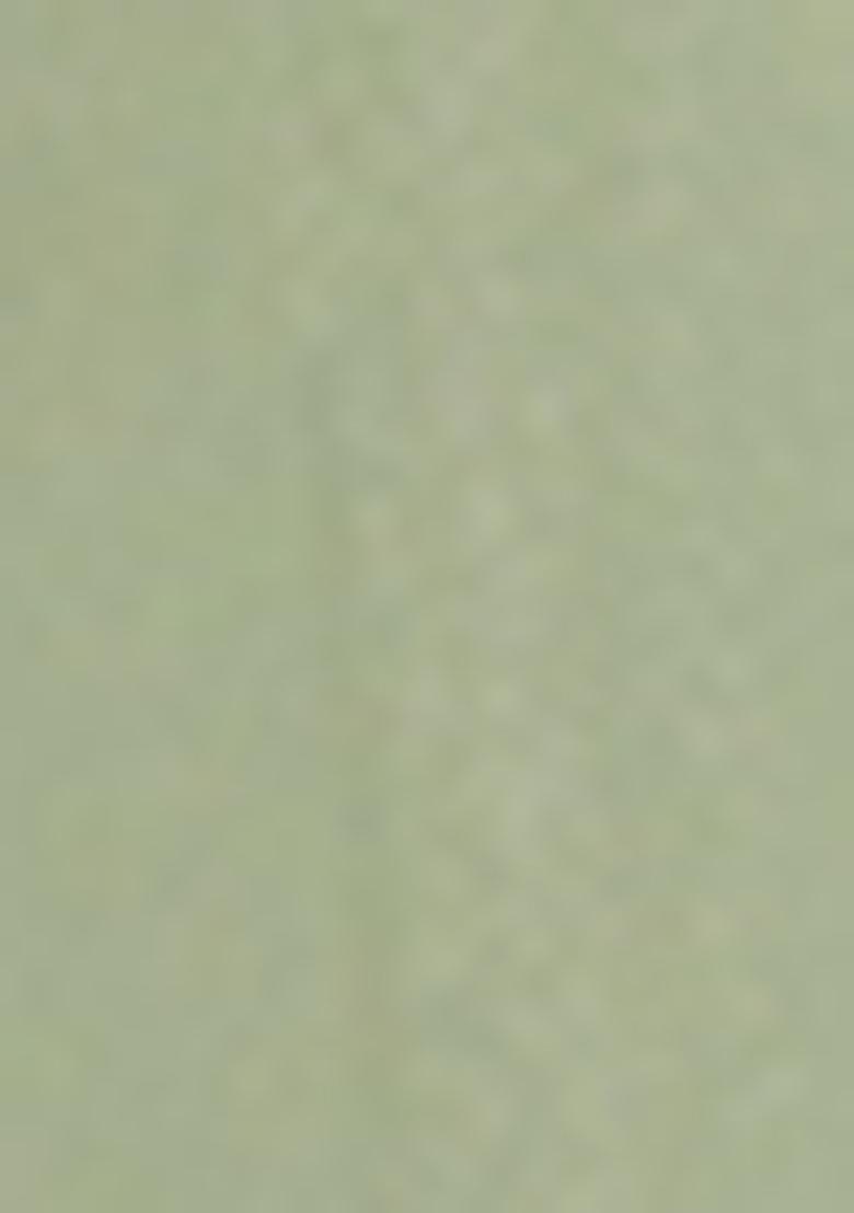 Sea Green Zari Work net Kurta set