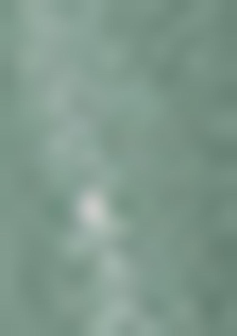 Aqua Blue Zari Work net Kurta set