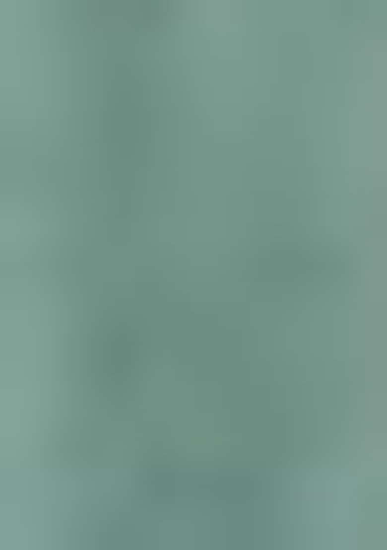 Turquoise Embroidered Chinon Sharara Set - Indya
