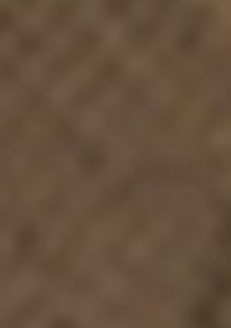 Beige Embroidered Net Kurta Set