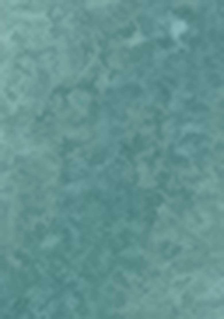 Sea Green Embroidered Orgenza Kurta Set - Indya