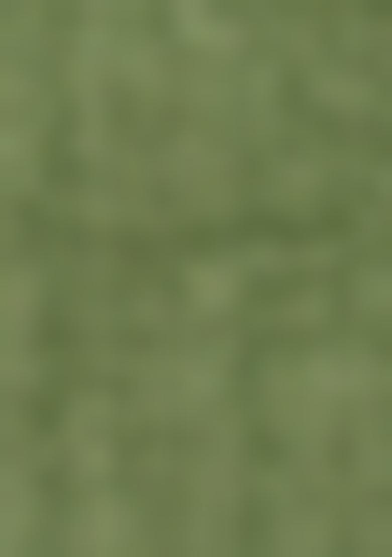 Green Embellished Cotton Kurta Set