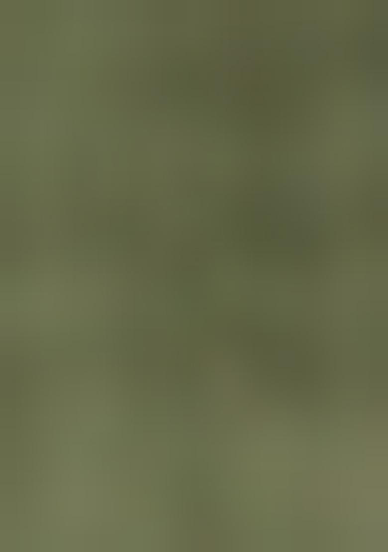 Green Embellished Cotton Kurta Set