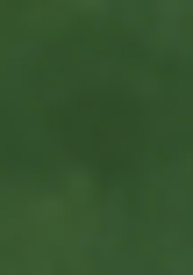 Green Embellished Cotton Kurta Set